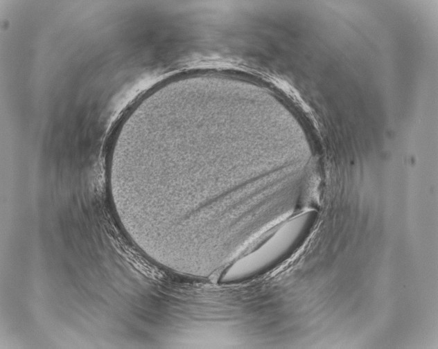 X0000087341167200705111540