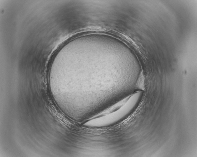 X0000087341168200705111540