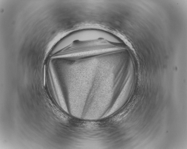 X0000087341175200705111540