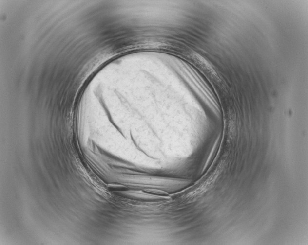 X0000087341178200705111540