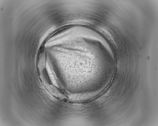 X0000087341180200705111540