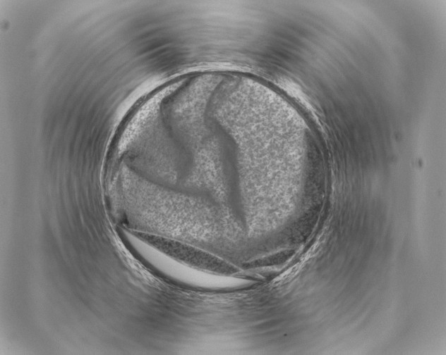 X0000087341181200705111540