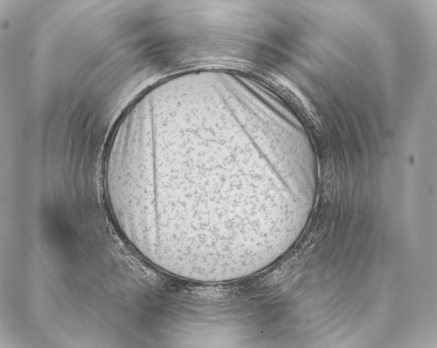 X0000087341182200705111540