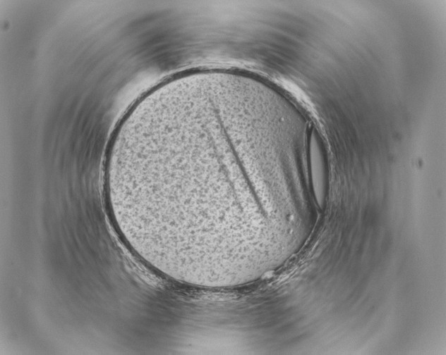 X0000087341183200705111540
