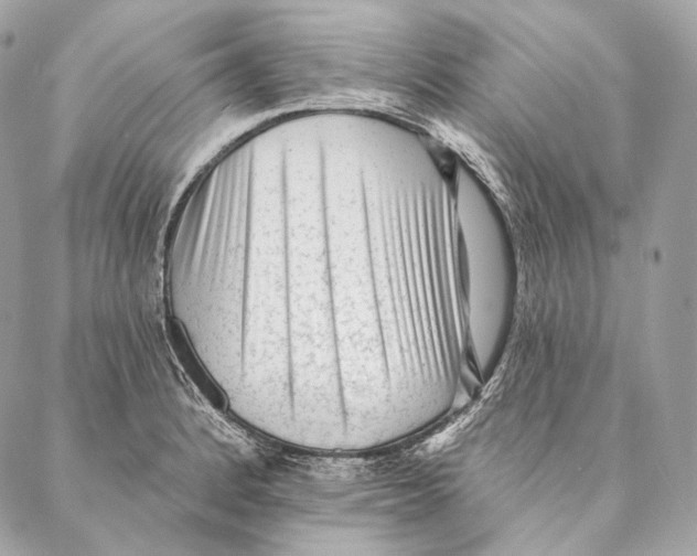 X0000087341184200705111540