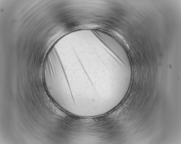 X0000087341186200705111540