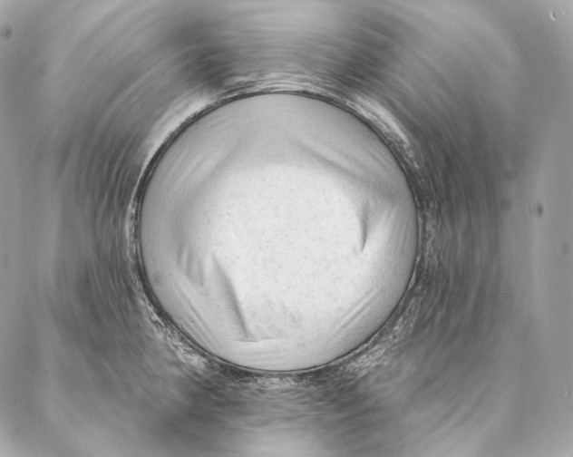 X0000087341190200705111540