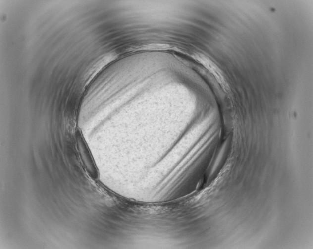 X0000087341193200705111540
