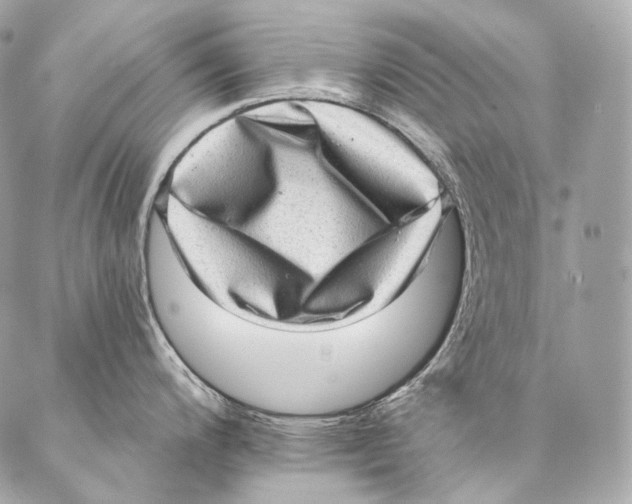 X0000087341200200705111540