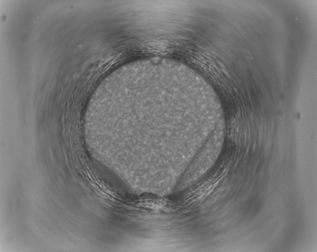 X0000087341201200705111539