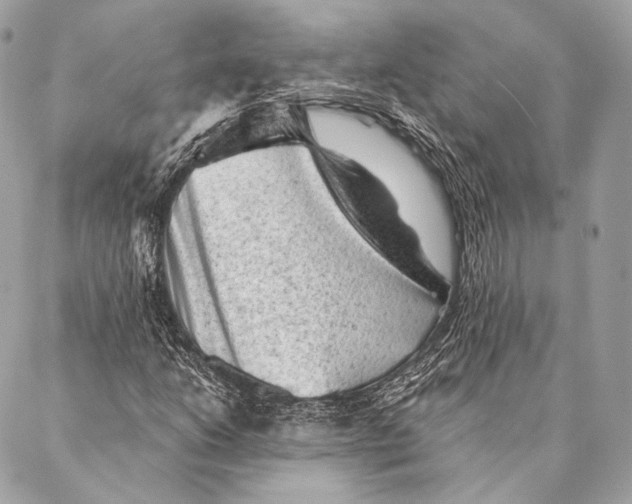 X0000087341206200705111539