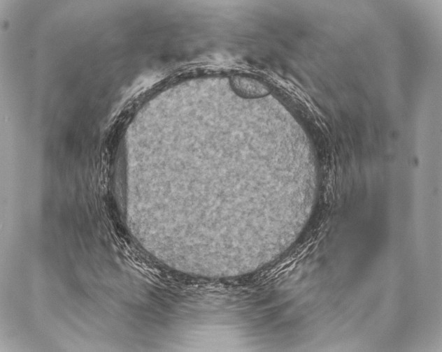 X0000087341207200705111539