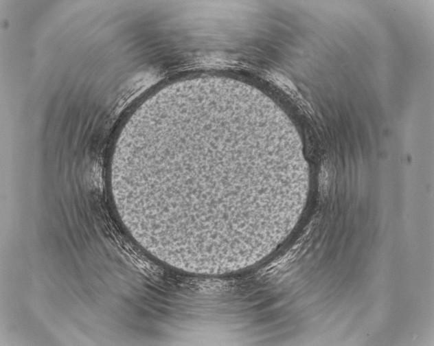 X0000087341209200705111539