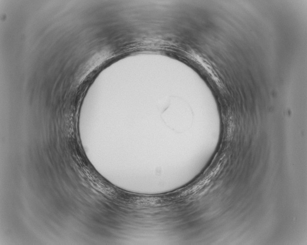 X0000087341211200705111539