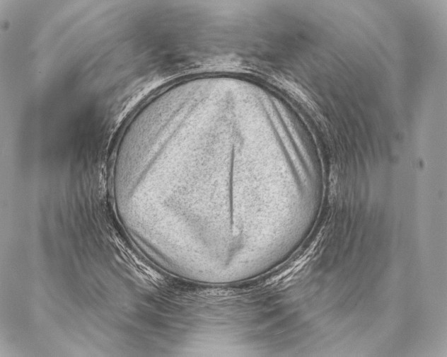 X0000087341212200705111539
