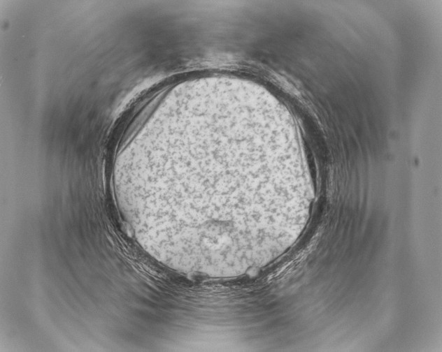 X0000087341214200705111539