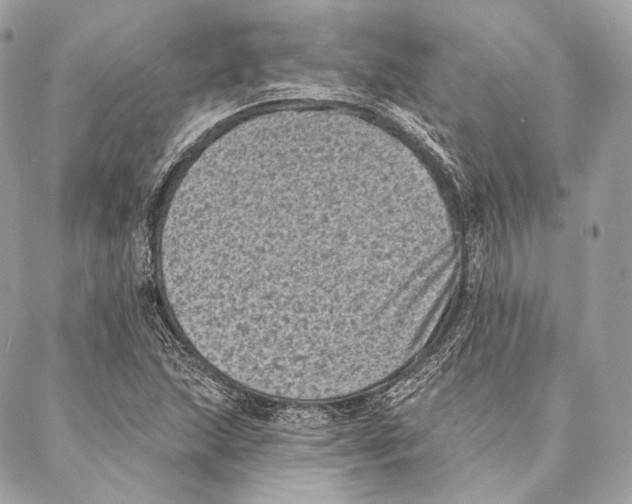 X0000087341215200705111539