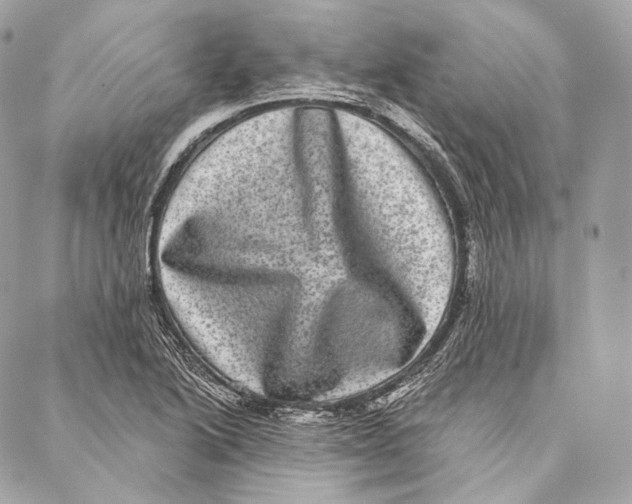 X0000087341222200705111539