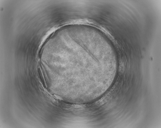 X0000087341224200705111539