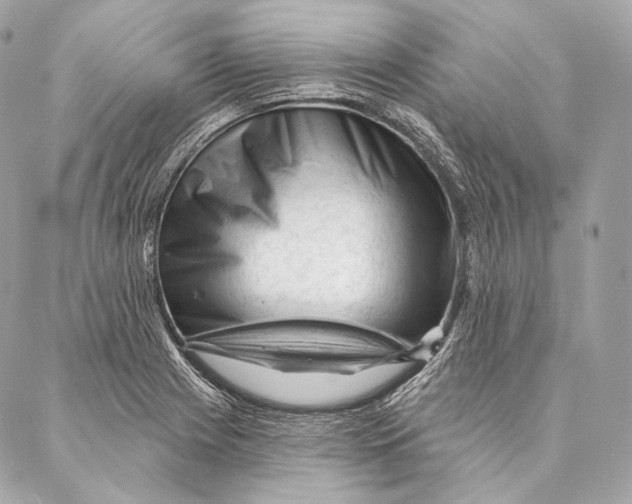 X0000087341225200705111539