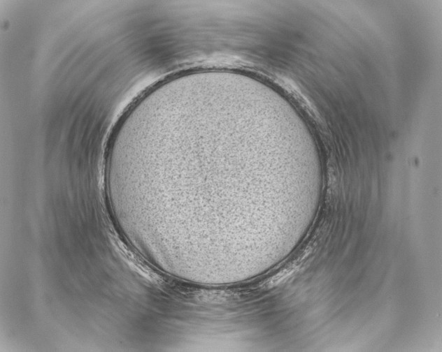 X0000087341232200705111539