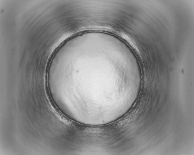 X0000087341237200705111539