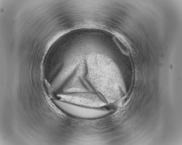 X0000087341238200705111539