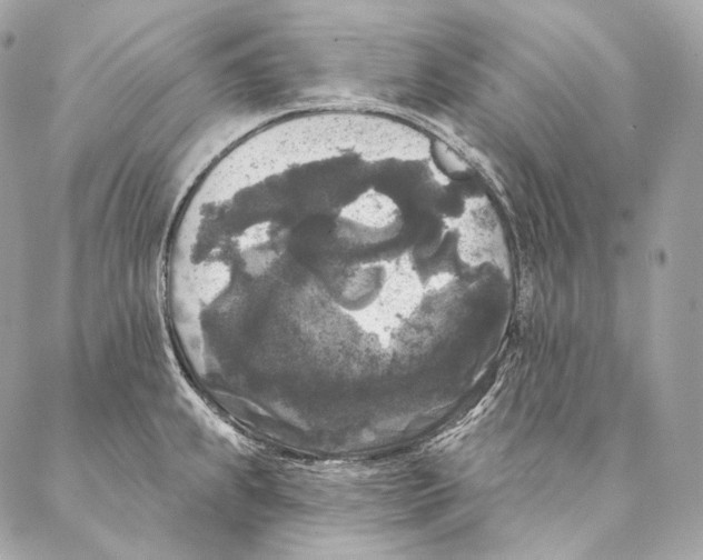 X0000087341239200705111540