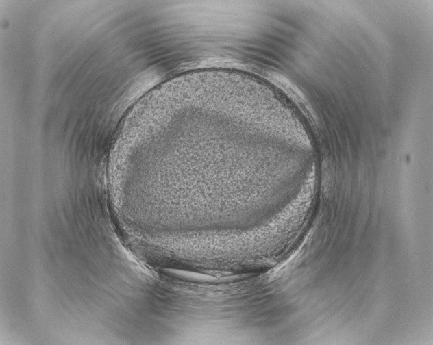 X0000087341241200705111540