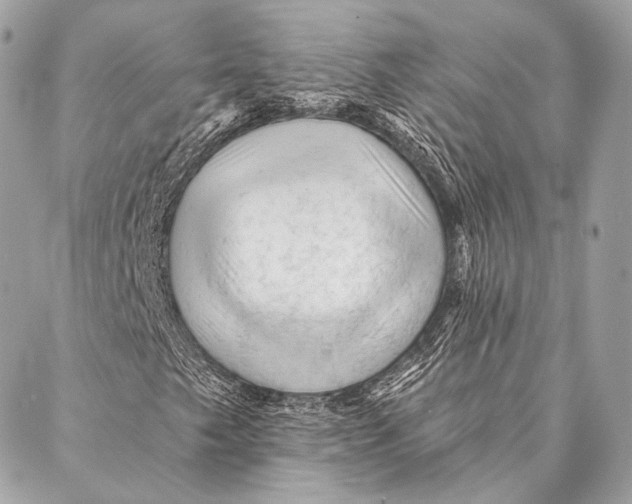 X0000087341249200705111539