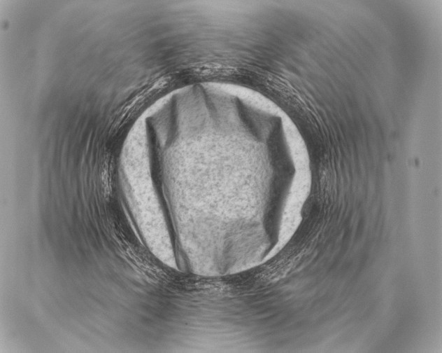 X0000087341250200705111539