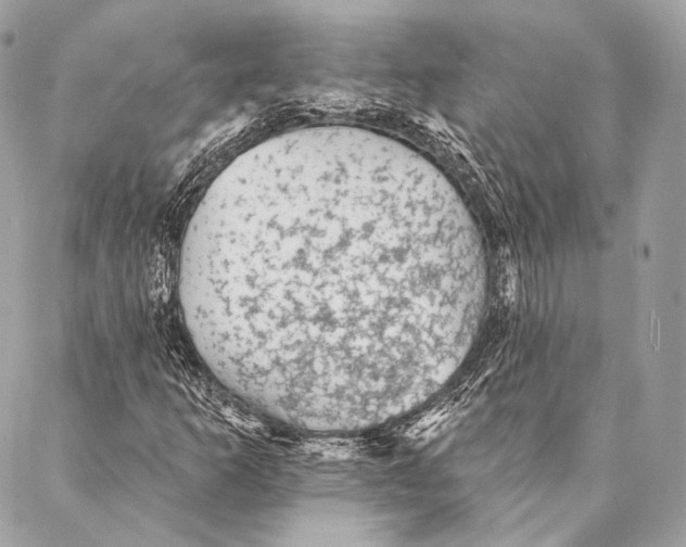 X0000087341253200705111539