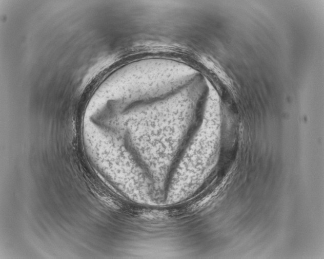 X0000087341261200705111539