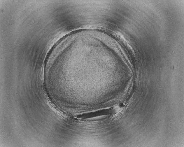 X0000087341276200705111538