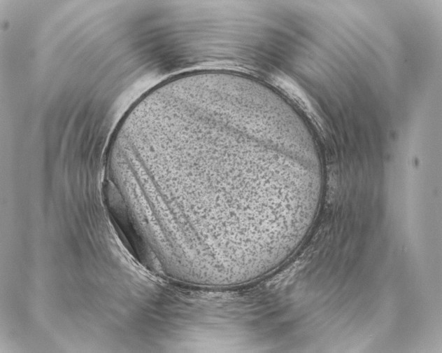 X0000087341284200705111538