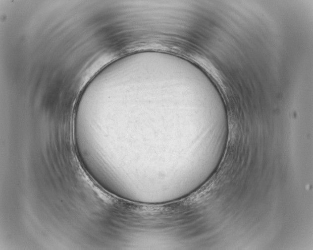 X0000087341290200705111538