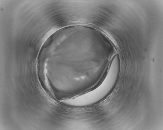 X0000087341291200705111538