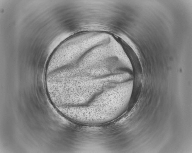 X0000087341293200705111538