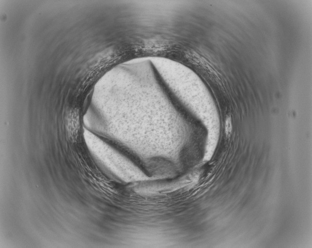 X0000087341299200705111537