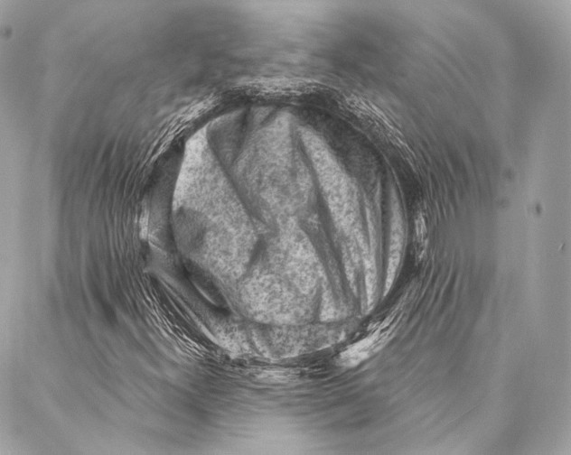 X0000087341300200705111537