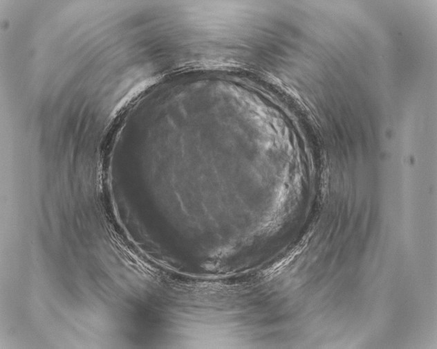 X0000087341306200705111537