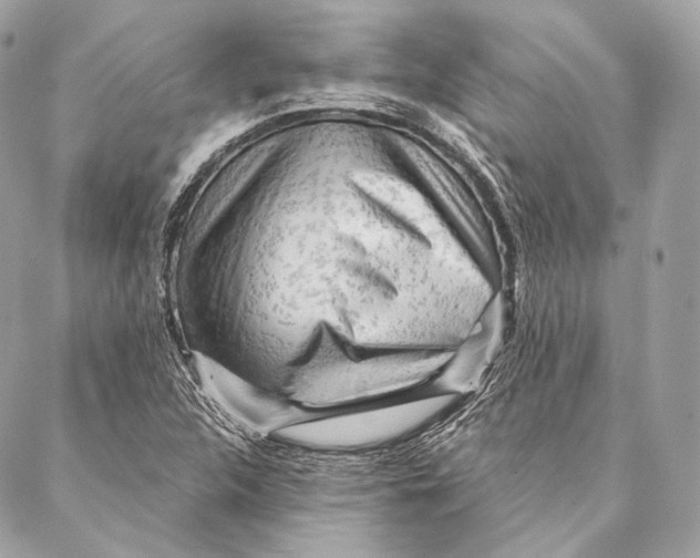 X0000087341312200705111538