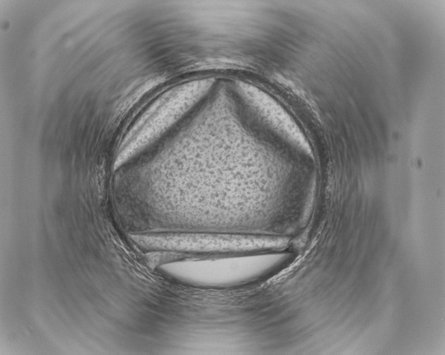 X0000087341313200705111538