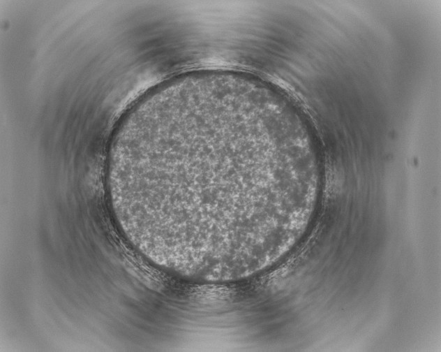X0000087341314200705111538