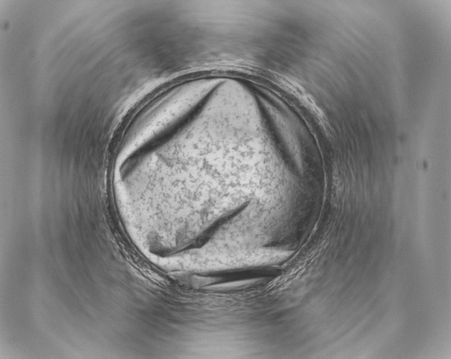 X0000087341316200705111538