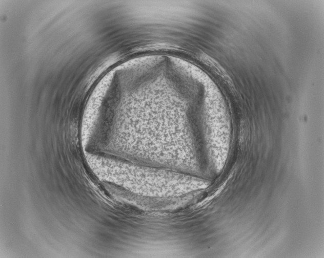 X0000087341321200705111538
