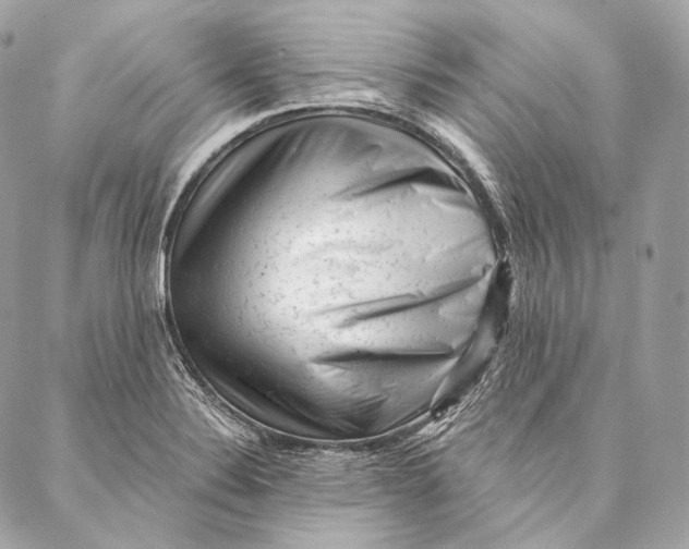 X0000087341324200705111538