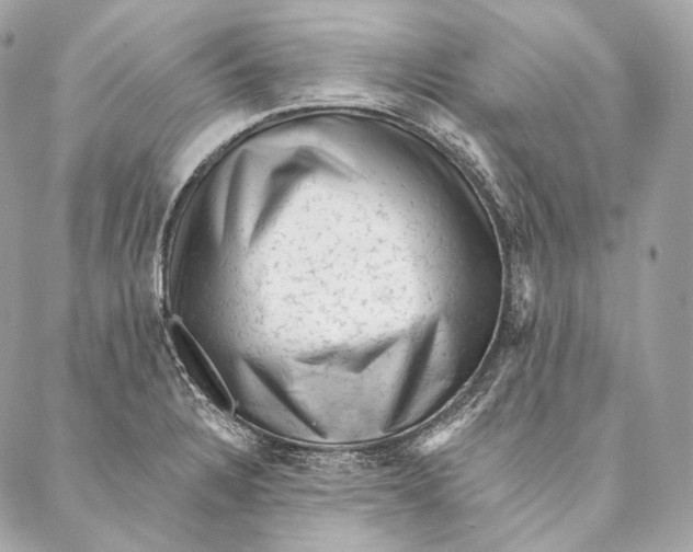 X0000087341328200705111538