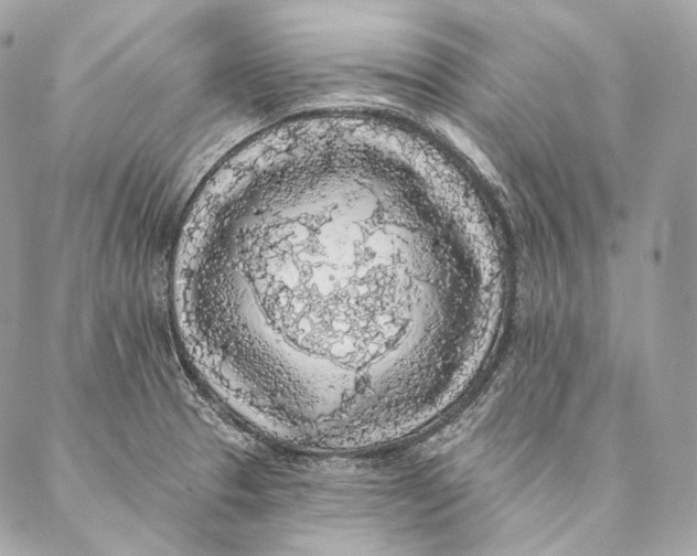 X0000087341329200705111538