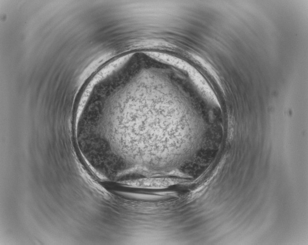 X0000087341330200705111538